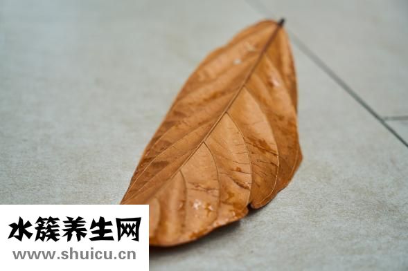 嗜血細胞綜合癥