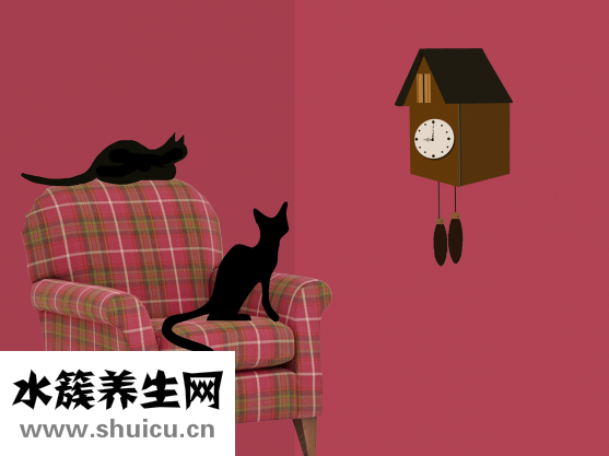 孕婦能用面膜嗎