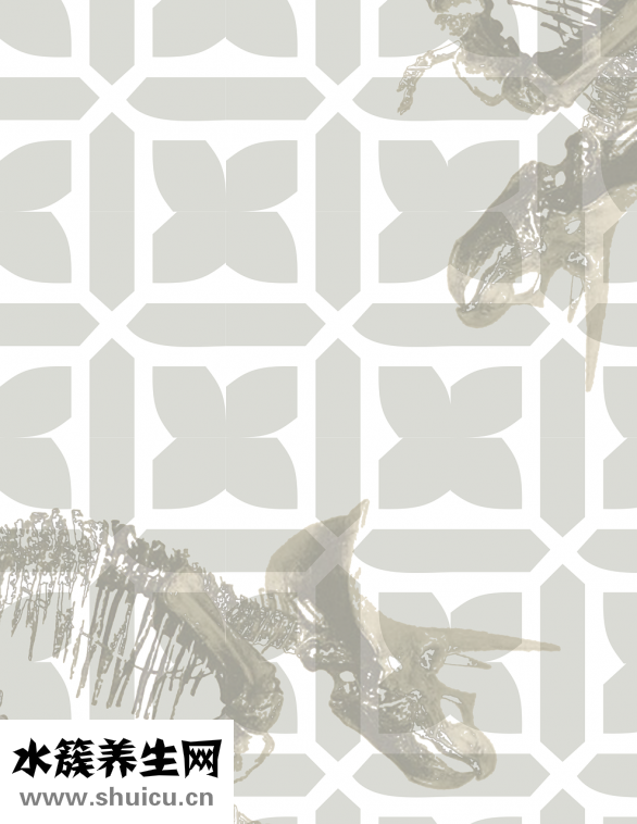 咖啡多久起作用