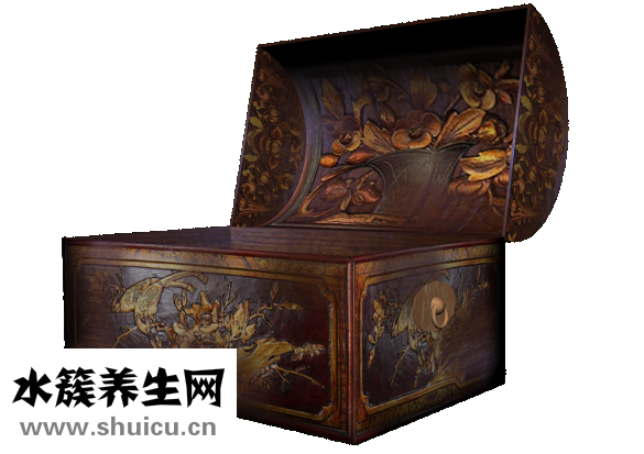 怎么能讓胸變大