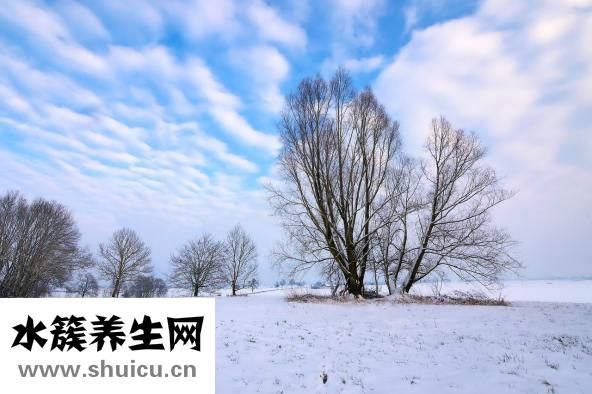 心臟造影不能隨便做