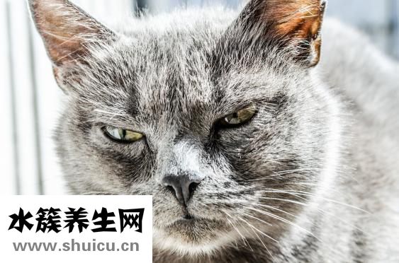 心理變態的表現癥狀