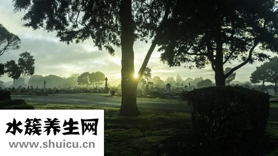 為什么會得腎結(jié)石