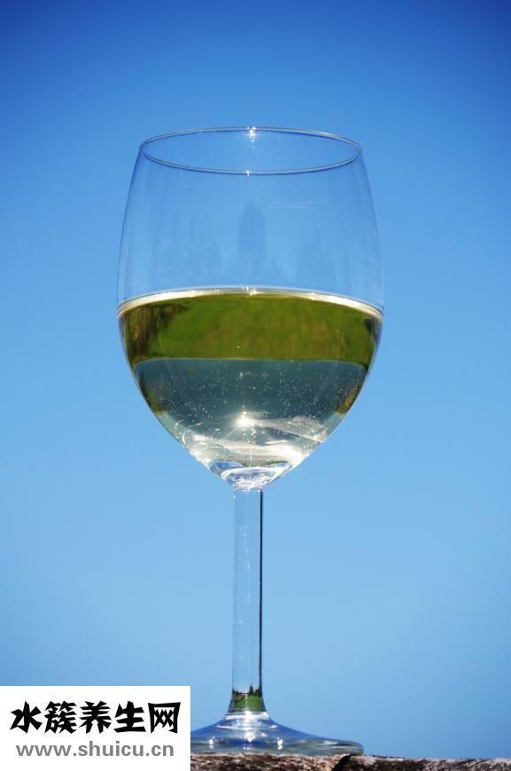 啤酒花是什么東西