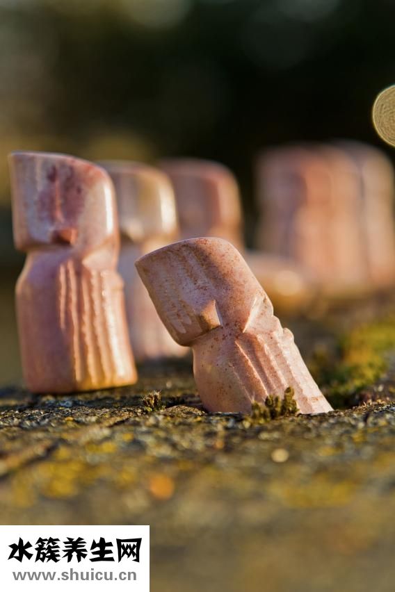 十二導聯心電圖機