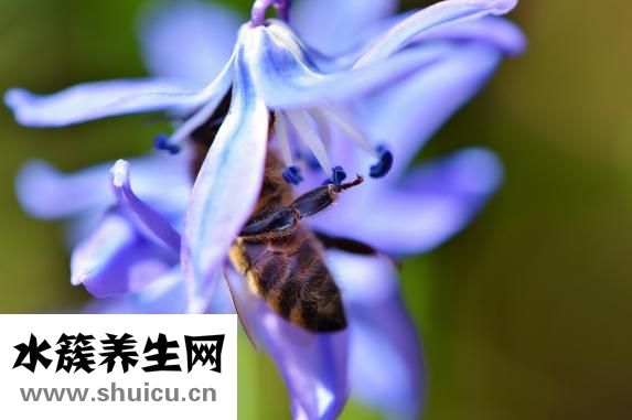 怎么預防乳腺癌