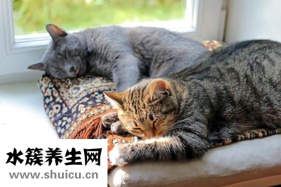 新生嬰兒拉稀怎么辦