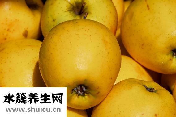 孕婦能吃西蘭花嗎