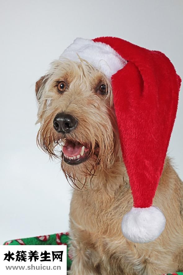 心理變態的表現癥狀