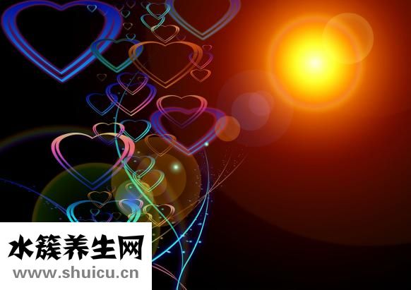 心臟彩超怎么做過程