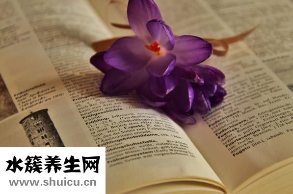 孕婦可以吃龜苓膏嗎