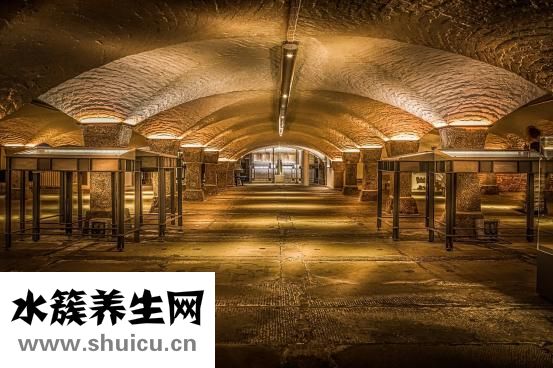 咽隱窩在什么位置