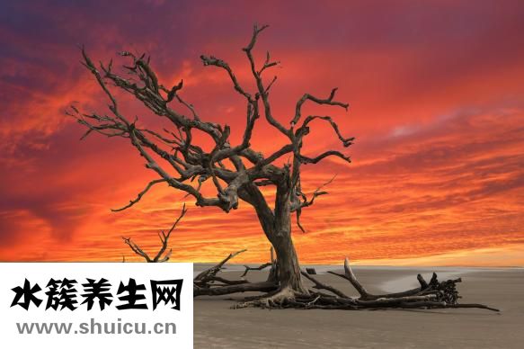 呃逆的治療方法