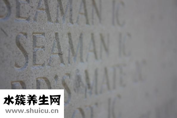 手掌每個部位名稱