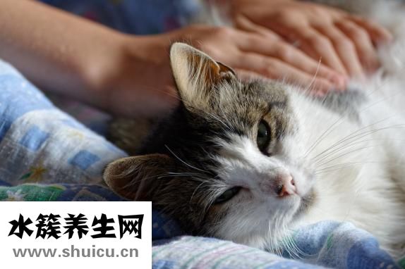 哺乳期可以跑步嗎