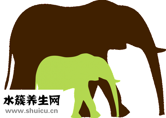 嬰兒乳糖不耐受