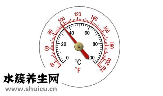 喝西洋參的好處