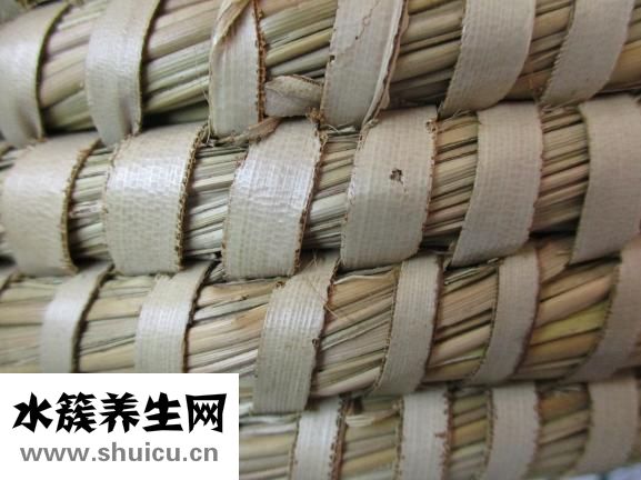 帶黃是什么中藥