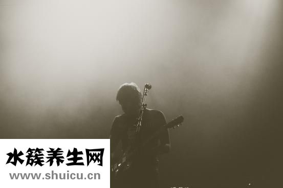 晚上吃什么不長胖