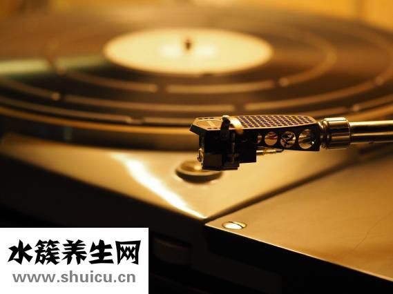 雙腎盂是什么意思