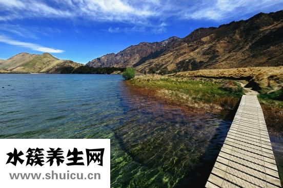 喝枸杞會上火嗎