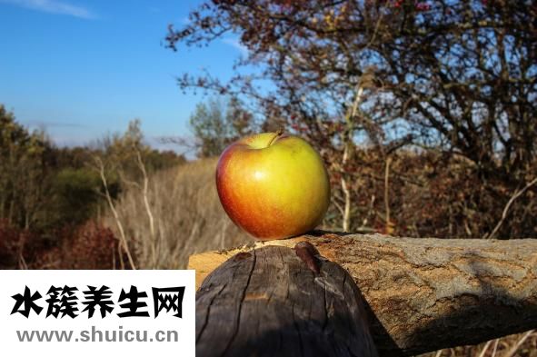 曬太陽有什么好處