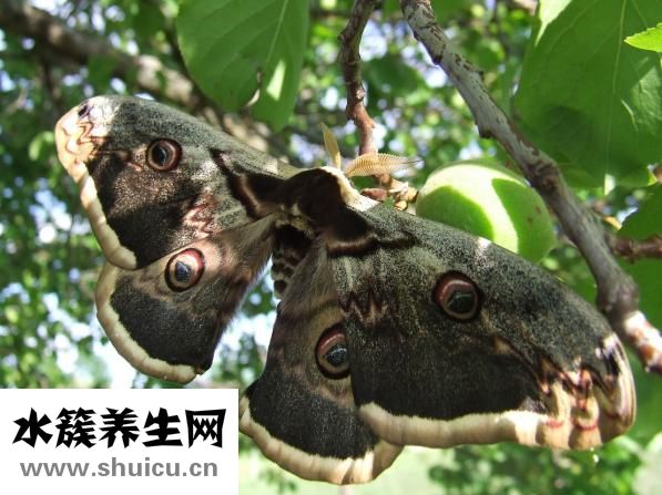 怎么量腳的尺寸