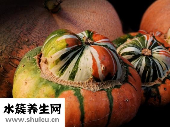 晚上吃什么不長胖