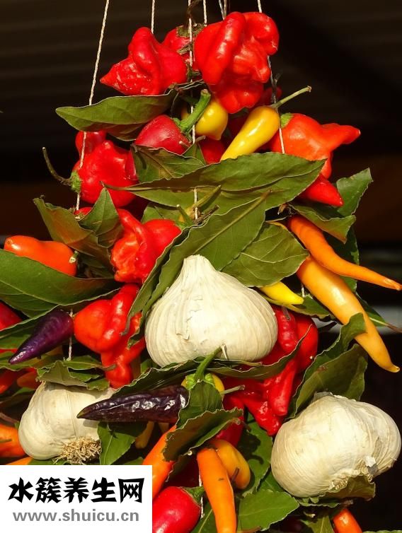 幼兒膳食營養(yǎng)知識