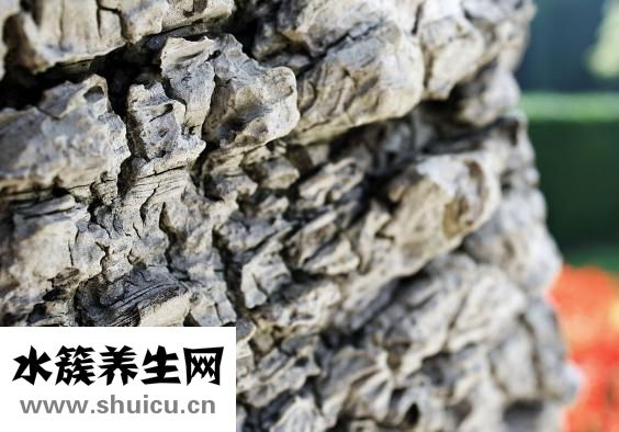 手掌每個部位名稱