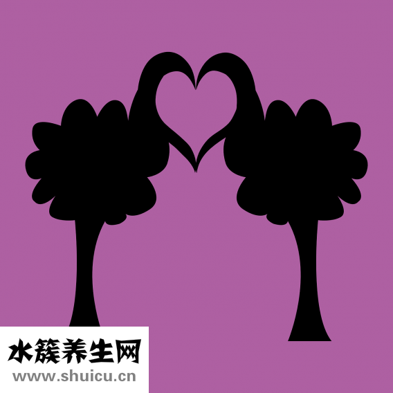 孕婦水腫的原因