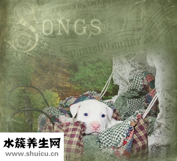 兒童體能訓(xùn)練