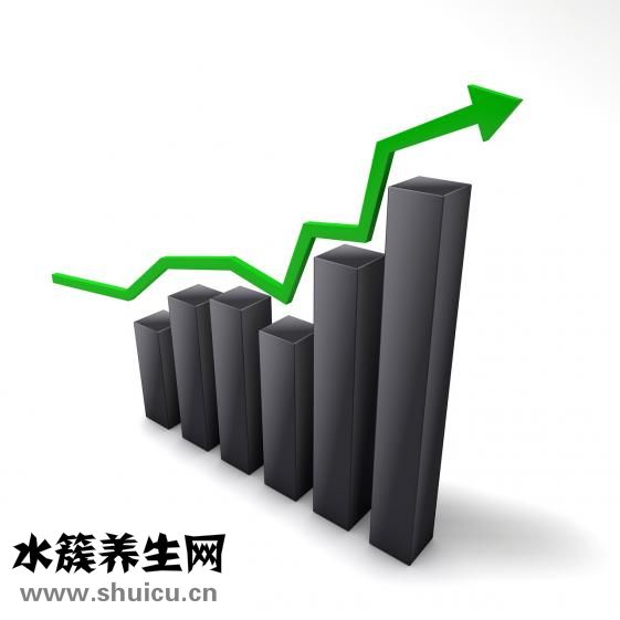 什么花好養(yǎng)又好看