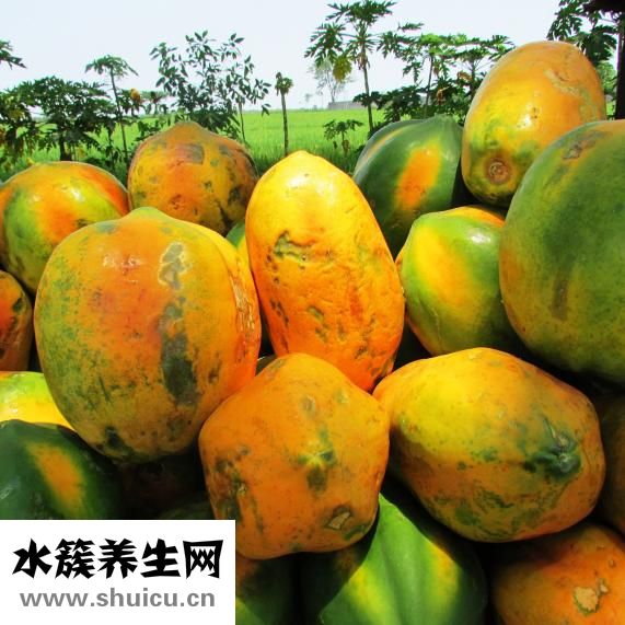 吃木瓜能豐胸嗎