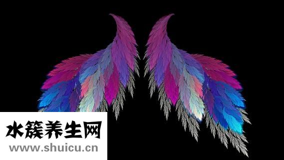 孕婦水腫的原因