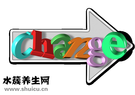 掌中寶是什么部位