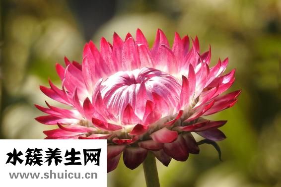 一受涼就拉肚子