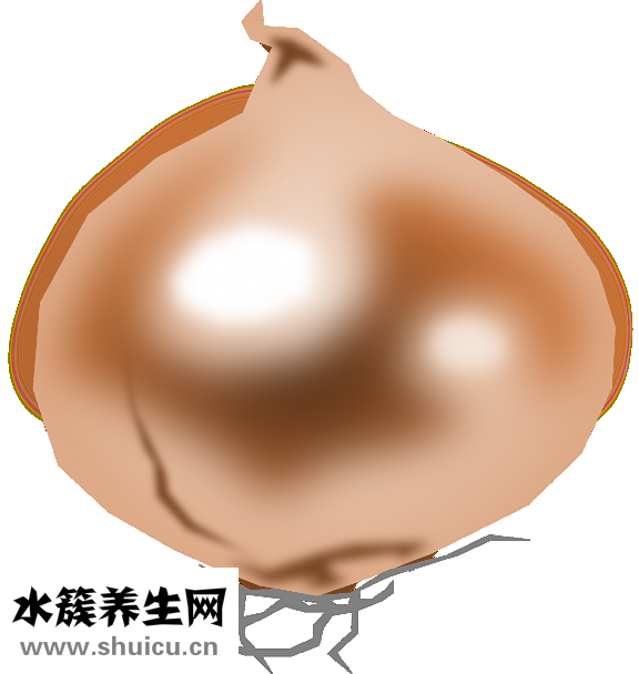 云南白藥膠囊成分