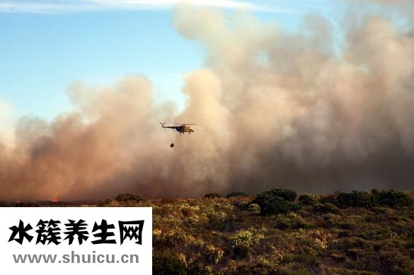 失眠多夢(mèng)吃什么