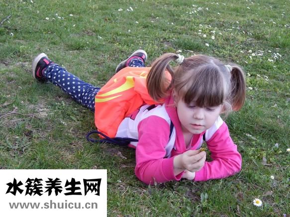 新生兒奶粉排名