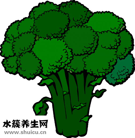 什么食物含葉酸最多