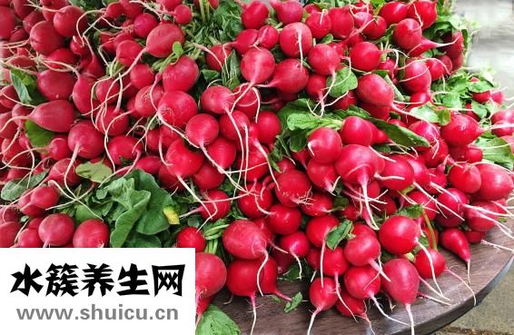 完美營養(yǎng)餐