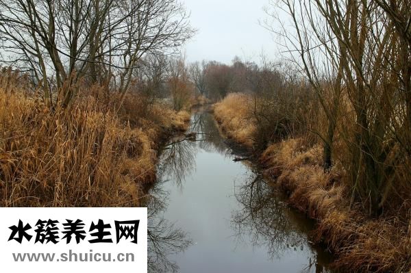 商丘的準確位置圖