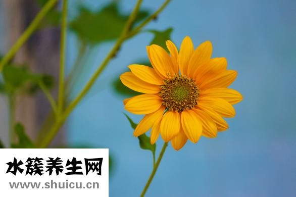 咽喉腫瘤怎么治療