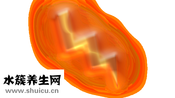 微創流產的醫院