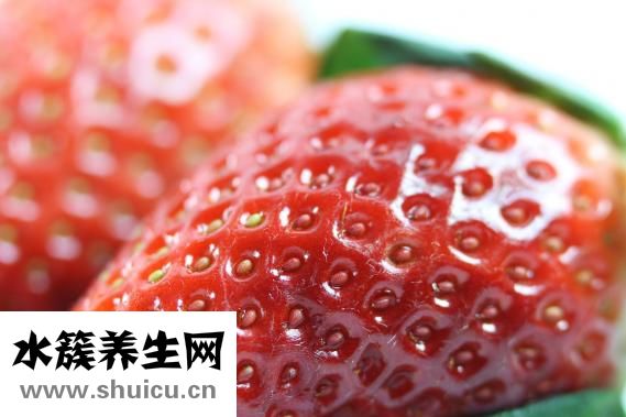 無花果多少錢一斤