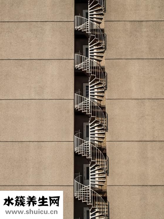 孕婦補(bǔ)血吃什么好