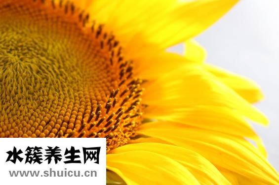 小瓜的功效與作用