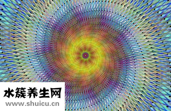 孕婦補(bǔ)血吃什么好