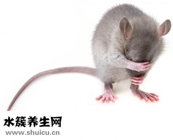 無菌性股骨頭壞死